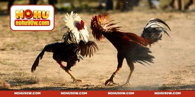 Lựa chọn giống theo tiêu chí chuẩn