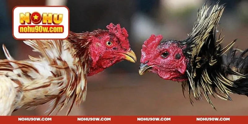 Thiết kế hình ảnh và âm thanh thân thiện, tối giản